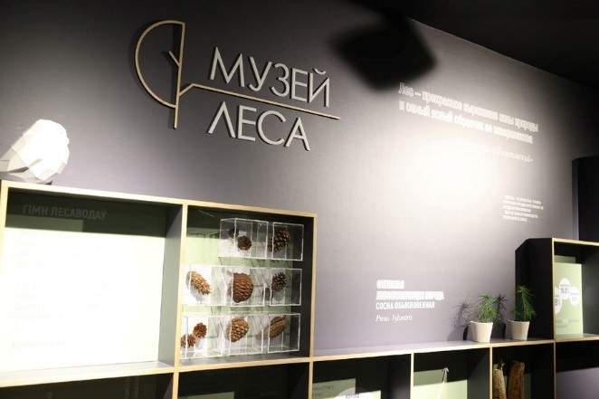 Площадь Тызенгауза, дом 4Б. Дом лесной администрации