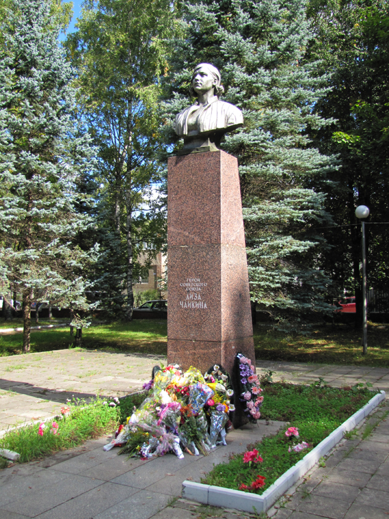 улица Лизы Чайкиной