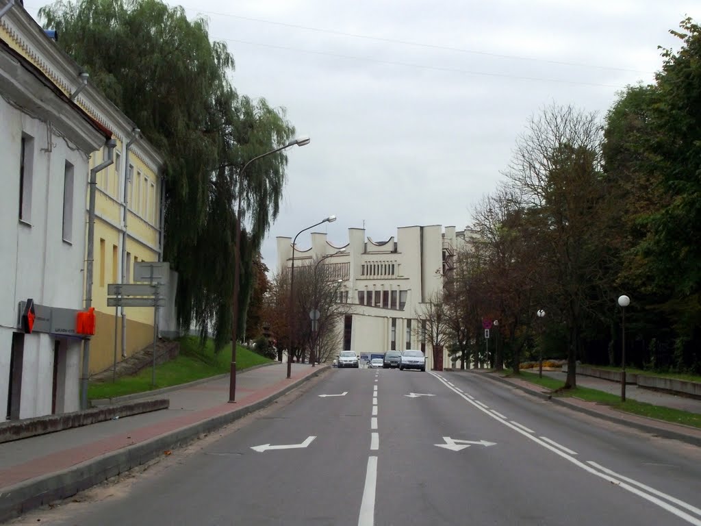 улица Давыда Городенского