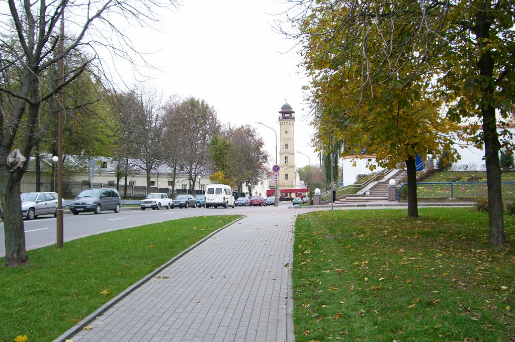 улица Давыда Городенского