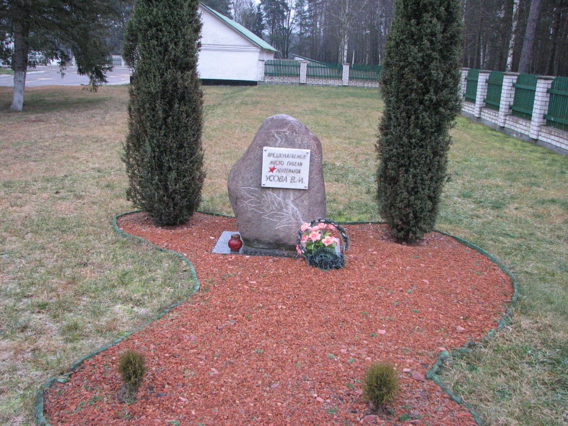 Усов В.М.