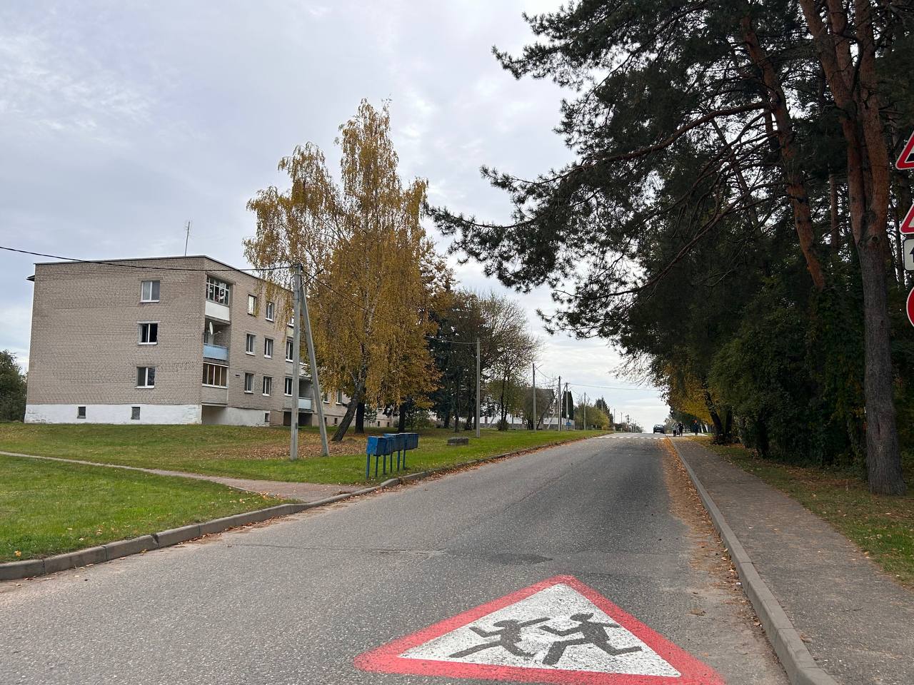 Волков Н. А.